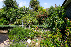 Garden- click for photo gallery